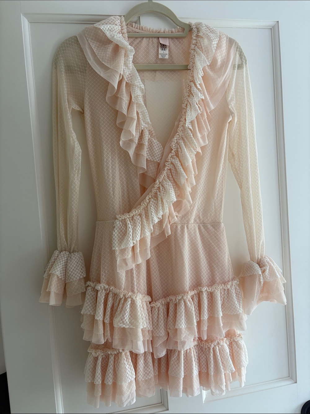 Sheer Ruffle Mini Dress in Blush Pink